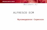презентация Alfresco доклад ecm