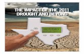The Impact of the 2011 Drought and Beyond