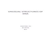 DNA-RNA (unsual structure)