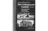 Carolyn Yeager - Auschwitz -The Underground Guided Tour