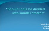 Should India be divided into smaller states