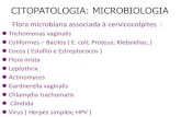 Citopatologia - Microbiologia