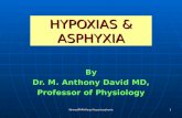 Nomad: Hypoxias & Asphyxia