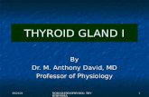 Nomad: Thyroid Physiology