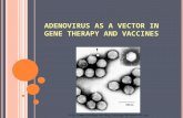 Adenovirus PPT