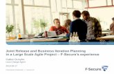 Joint Release and Business Iteration Planning in a Large Scale Agile Project – F-Secure's experience