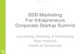B2B marketing for intrapreneurs - Shira Abel