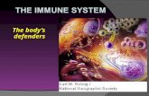 Presentation 11 - Immunity
