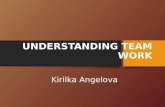 Understanding team-work