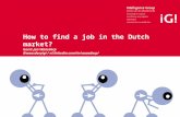 How to find a job in the netherlands?