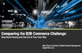 Conquering the B2B Commerce Challenge
