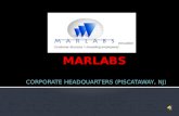 Marlabs HQ and Center of Excellence