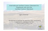 International Verified Carbon Standard for Peatlands