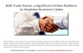 B2B Trade Portal, a Significant Online Platform to Heighten Business’s Sales