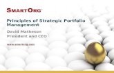 Principles of strategic portfolio management