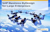 SAP Business ByDesign for Large Enterprises