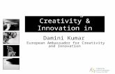 Damini Kumar, Fostering Creativity and Innovation in Europe - Interfacing Innovation Brussels
