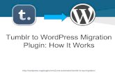 Tumblr to WordPress Migration Plugin. How It Works