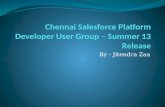 Salesforce Summer'13 - Chennai DUG
