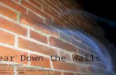 Tear Down The Walls V1.1
