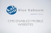 Cincinnati Mobile CMS Web Design
