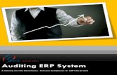 Brochure   Auditing Erp System V2