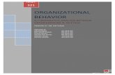 76568972 Organizational Behavior Comparison Between 2 Companies