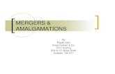 MERGERS & Amalgamation- Presentation by Payel Jain