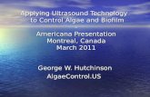 Applying Ultrasound to Control Algae