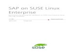 Sap on Sles11 Simple Stack