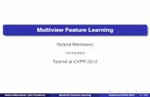 Mvfl_part1 Cvpr2012 Spatio-temporal and Higher-Order Feature Learning