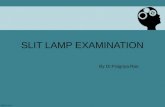 Slit Lamp Examination