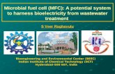 Microbial Fuel Cell Presentation