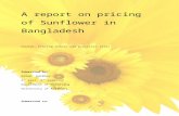 Pricing Asgnmnt Sunflower