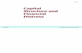 6 Capital Structure and Cost of Capital 30062012