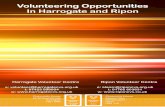 Volunteering Opportunities in the Harrogate District