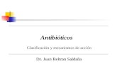 antibioticos 2010
