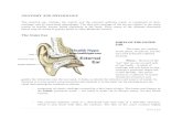 Outer Ear Infections