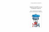 Industrial Process Control Valves