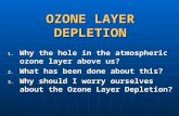 Ozone Layer Depletion, Its Causes and Its Effects