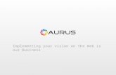 Aurus - Web Design Portfolio 2013