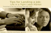 Tips For Landing A Job 2009