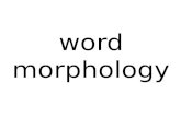 Word Morphology + Reading Comprehension