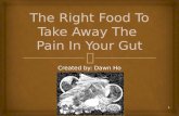 The Right Food To Take Away The Pain In Your Gut