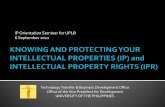 Knowing and Protecting Your Intellectual Properties and Intellectual Property Rights