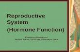 K - 5 & K - 6 Reproduction Hormone (Fisiologi)