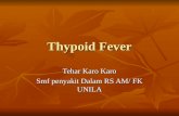 Kuliah Typhoid 2
