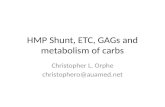TA HMP Shunt, ETC, GAGs and Carb MetabolismCLO