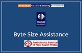 Byte Size Assistance
