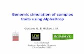 Genomic simulation of complex traits using AlphaDrop